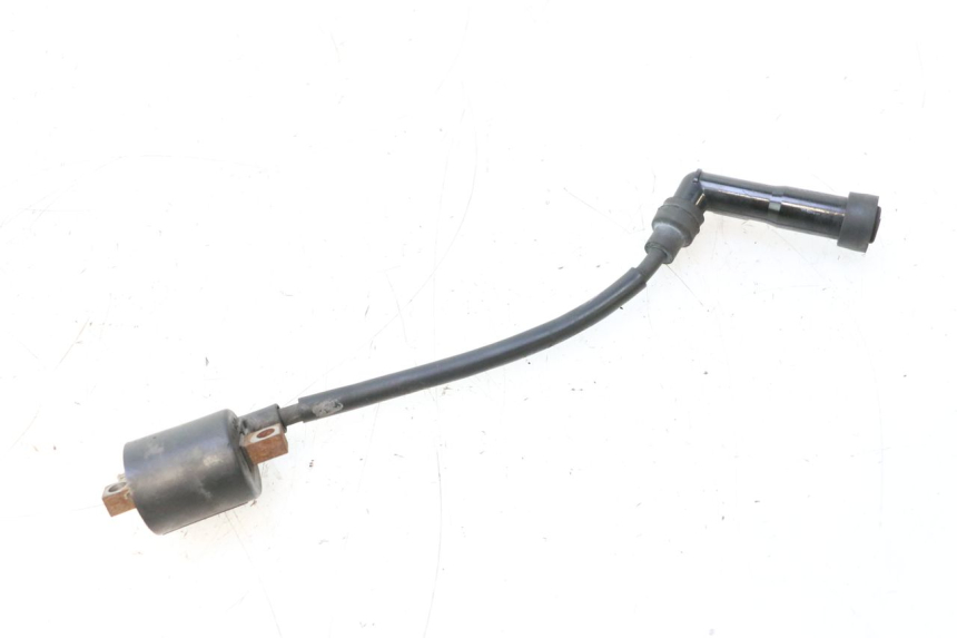 photo de COIL YAMAHA YP MAJESTY 125 (1998 - 2001) - Alternative perspective