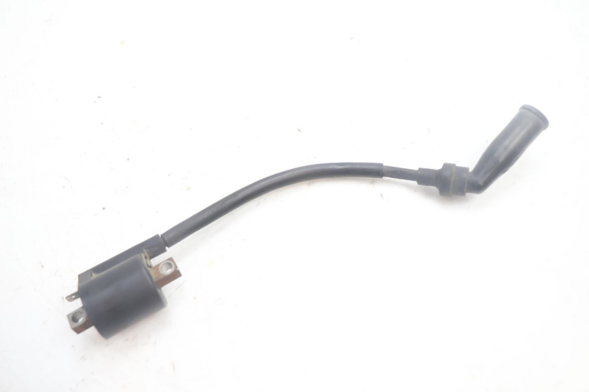 photo de COIL YAMAHA YP MAJESTY 125 (2002 - 2006) - Main view