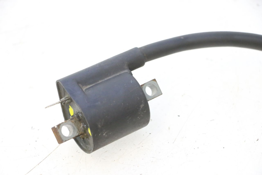 photo de COIL YAMAHA YP MAJESTY 125 (1998 - 2001) - Product overview
