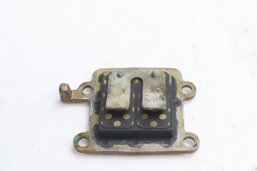 photo de REED VALVE ASSEMBLY MBK BOOSTER SPIRIT 50 (1999 - 2003) - Component detail