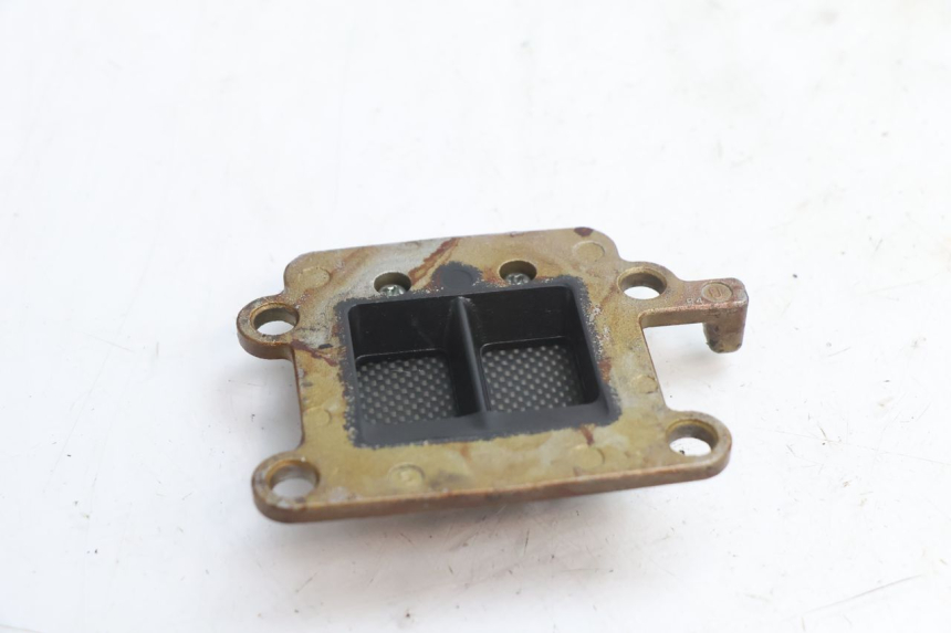 photo de REED VALVE ASSEMBLY MBK BOOSTER SPIRIT 50 (1999 - 2003) - Alternative perspective
