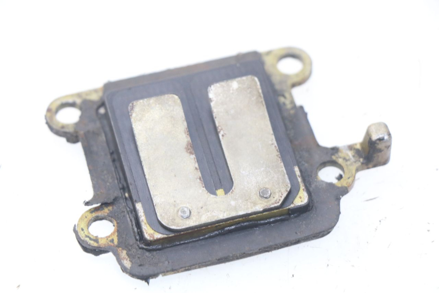 photo de REED VALVE ASSEMBLY YAMAHA BW'S 50 (1999 - 2003) - Zoom on usage condition