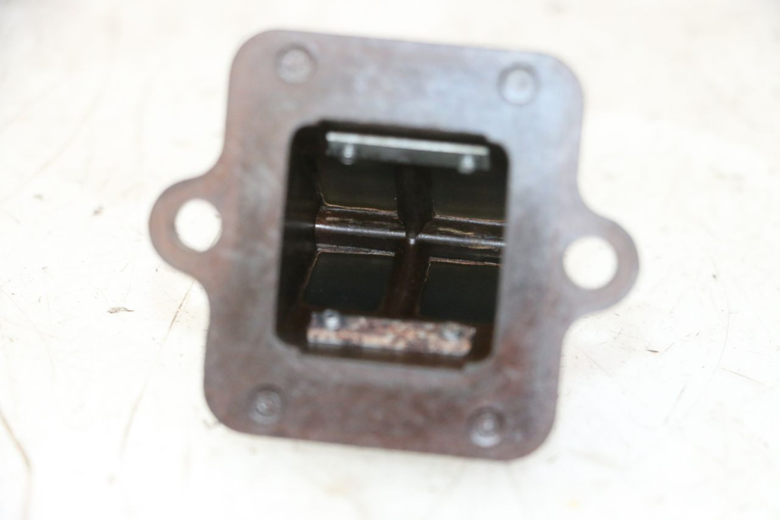 photo de REED VALVE ASSEMBLY PEUGEOT CITYSTAR 50 (2013 - 2017) - Alternative perspective