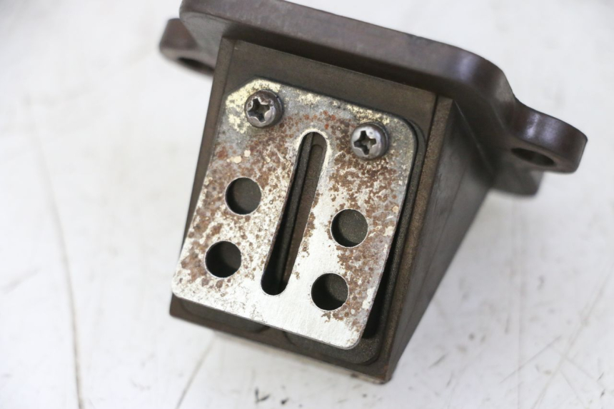 photo de REED VALVE ASSEMBLY PEUGEOT CITYSTAR 50 (2013 - 2017) - Technical close-up