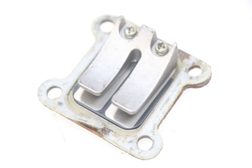 photo de REED VALVE ASSEMBLY POCKET BIKE COURSE 50 - Main view