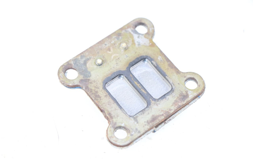 photo de REED VALVE ASSEMBLY POCKET BIKE COURSE 50 - Component detail