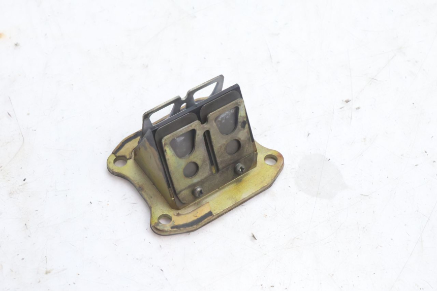 photo de INTAKE VALVE HONDA FES PANTHEON 2T 125 (1998 - 2002) - Main view