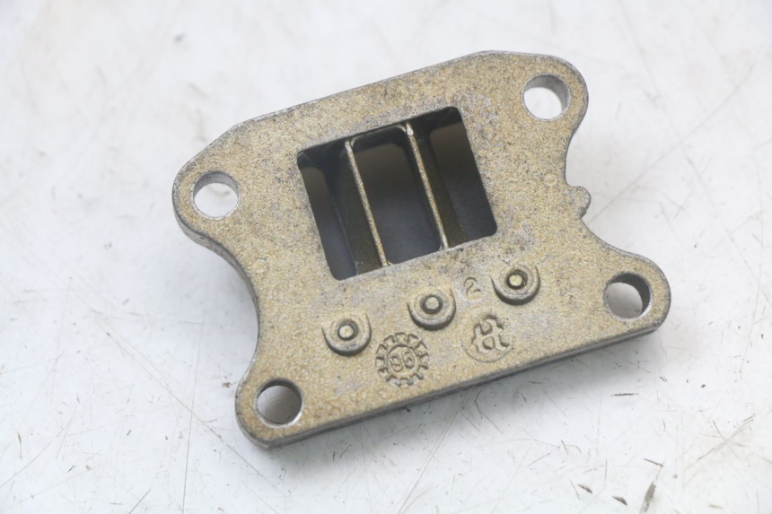 photo de REED VALVE ASSEMBLY PEUGEOT SPEEDFIGHT 100 (1997 - 2007) - Alternative perspective