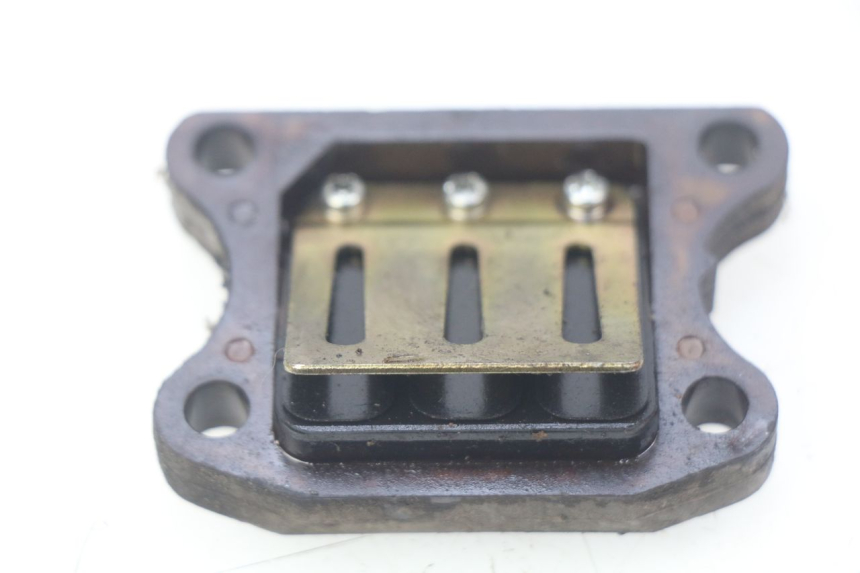 photo de REED VALVE ASSEMBLY PEUGEOT TKR TREKKER FURIOUS 50 (2005 - 2014) - Main view