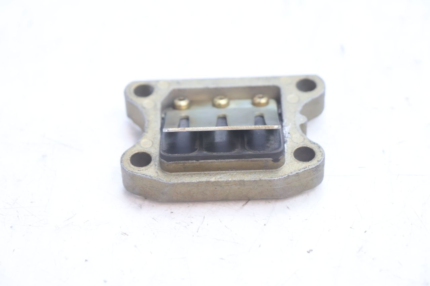 photo de INTAKE VALVE PEUGEOT TREKKER 50 (1995 - 2004) - Component detail