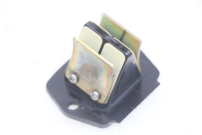 photo de REED VALVE ASSEMBLY PIAGGIO VESPA S 2T 50 (2007 - 2014) - Main view