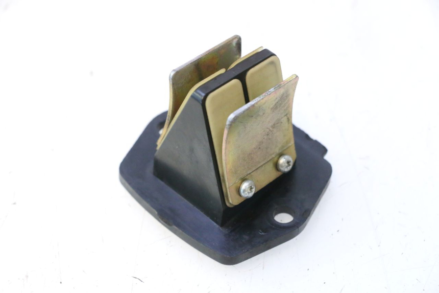 photo de REED VALVE ASSEMBLY PIAGGIO VESPA S 2T 50 (2007 - 2014) - Main view