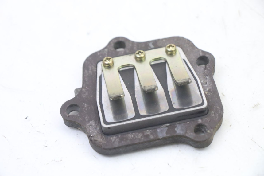 photo de REED VALVE ASSEMBLY YAMAHA PW 80 (1983 - 2014) - Main view