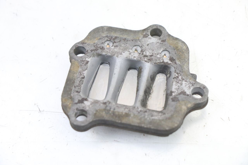 photo de REED VALVE ASSEMBLY YAMAHA PW 80 (1983 - 2014) - Alternative perspective