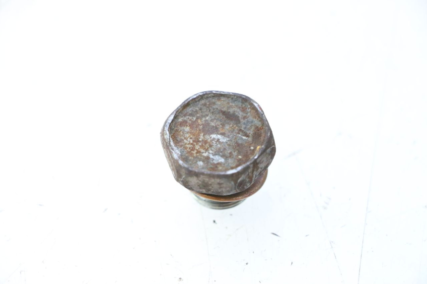 photo de ENGINE OIL CAP SUZUKI GSF N BANDIT 1200 (2001 - 2005) - Alternative perspective