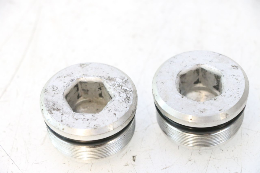 photo de FORK CAP SUZUKI BURGMAN EXECUTIVE ABS 650 (2006 - 2012) - Main view