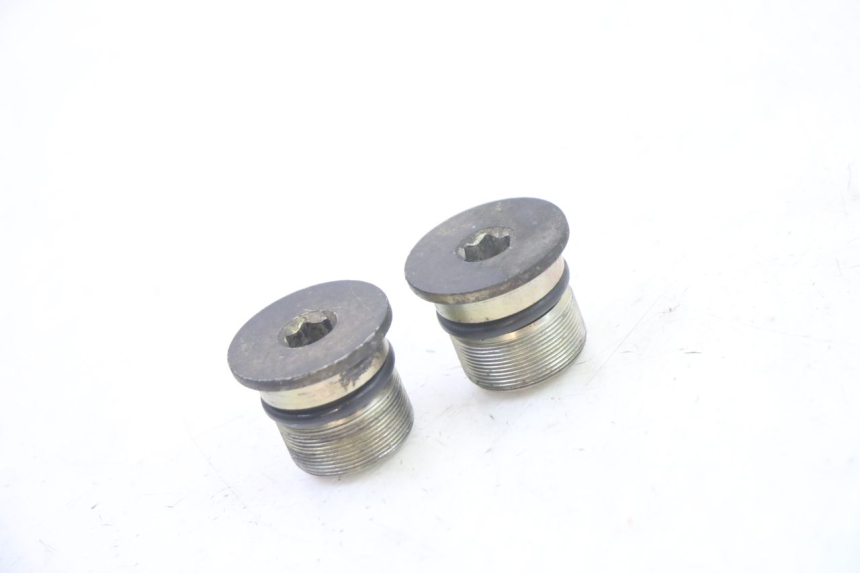 photo de FORK CAP PIAGGIO X9 EVOLUTION 125 (2003 - 2007) - Main view