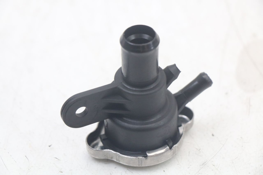 photo de RADIATOR CAP QUADRO 3D S 350 (2013 - 2018) - Product overview