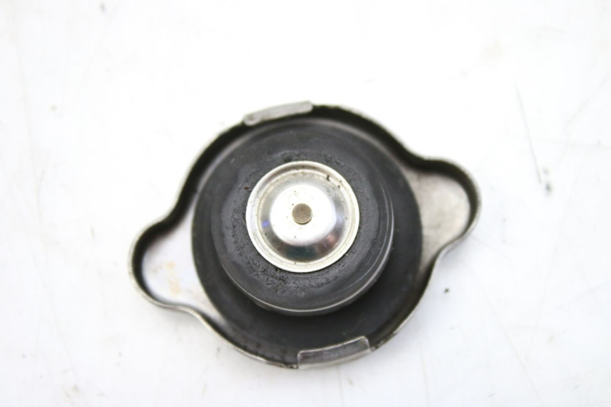 photo de RADIATOR CAP HONDA FES S-WING SWING ABS 125 (2007 - 2015) - Zoom on usage condition