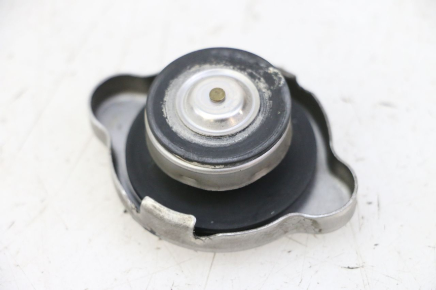 photo de RADIATOR CAP HONDA FES S-WING SWING ABS 125 (2007 - 2015) - Zoom on usage condition