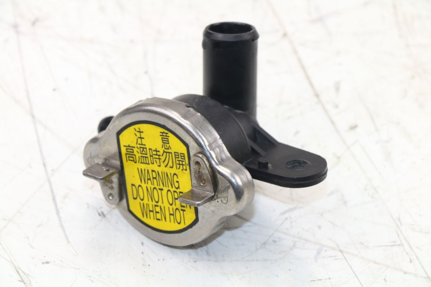 photo de RADIATOR CAP SYM GTS EFI 125 (2012 - 2016) - Main view