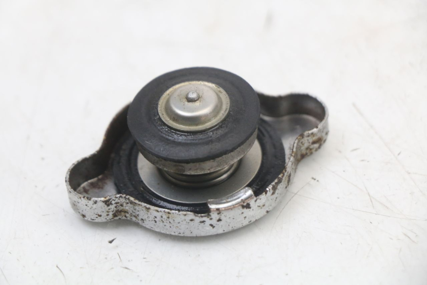photo de RADIATOR CAP REGAL RAPTOR SPYDER 125 (2010 - 2018) - Alternative perspective