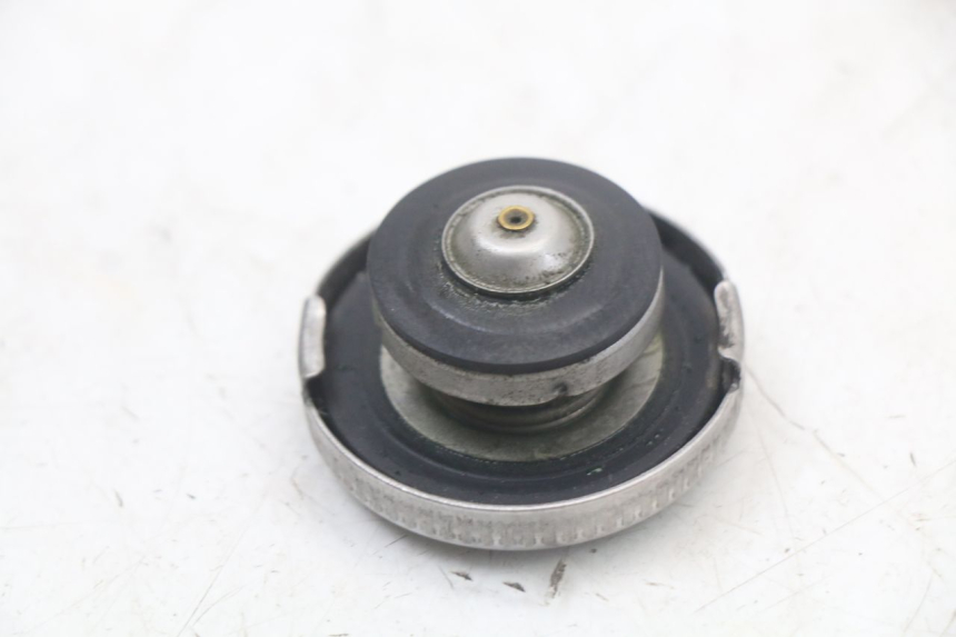 photo de RADIATOR CAP HUSQVARNA SVARTPILEN 401 (2018 - 2023) - Zoom on usage condition