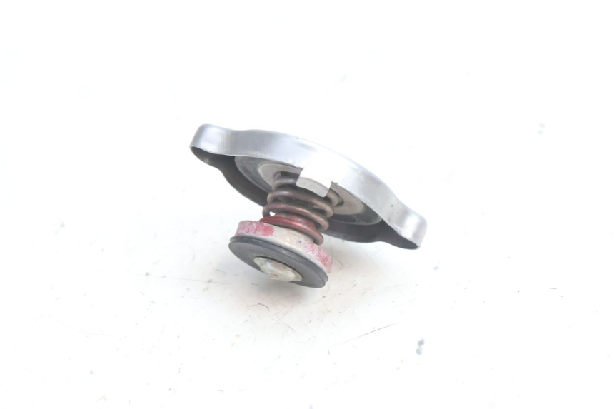 photo de RADIATOR CAP HUSABERG TE 250 (2011 - 2014) - Alternative perspective