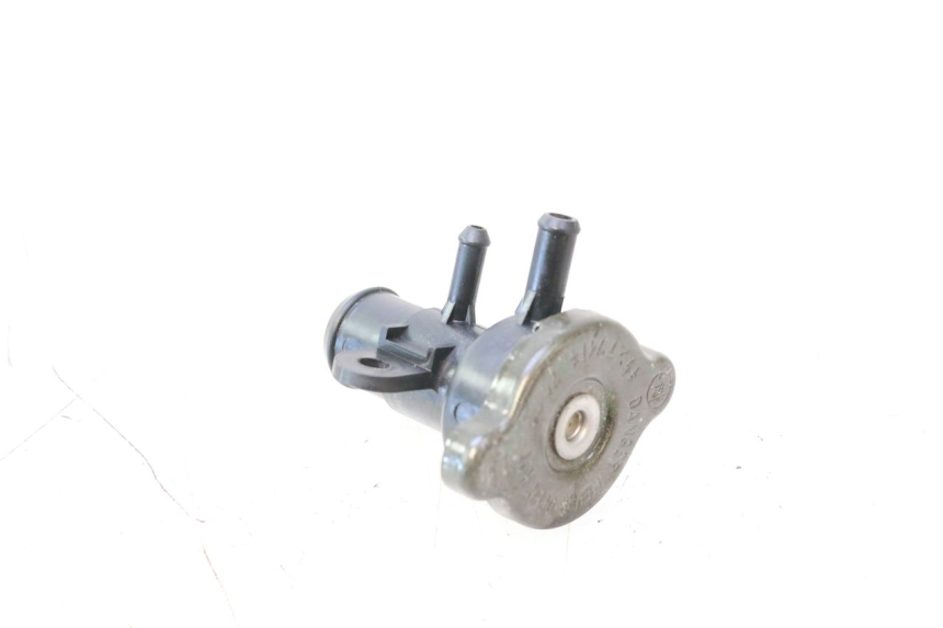 photo de RADIATOR CAP YAMAHA XP T-MAX ABS 500 (2005 - 2005) - Zoom on usage condition