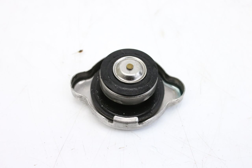 photo de RADIATOR CAP YAMAHA XP T-MAX TMAX ABS 530 (2012 - 2015) - Zoom on usage condition