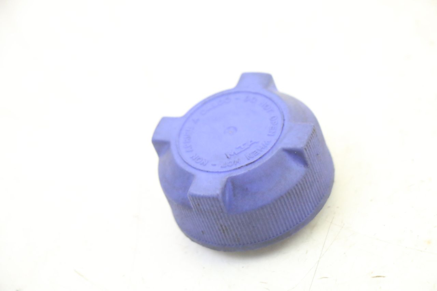 photo de EXPANSION BOTTLE CAP PEUGEOT SATELIS 250 (2006 - 2012) - Main view