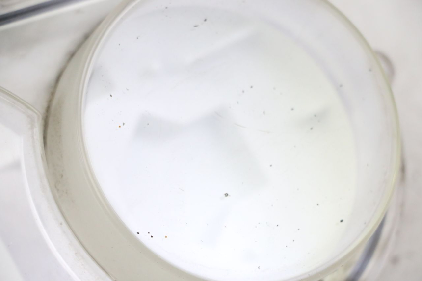 photo de SPEEDOMETER LENSE PEUGEOT SATELIS 250 (2006 - 2012) - Component detail