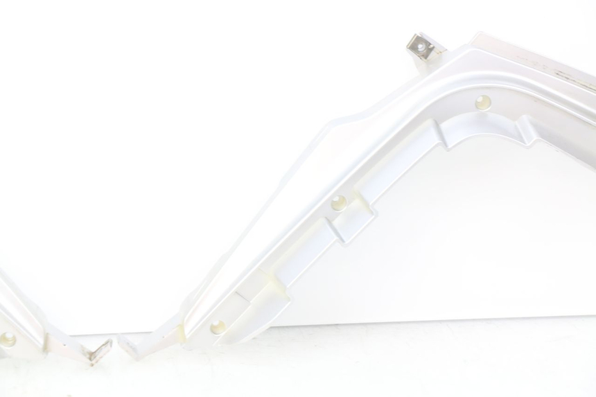 photo de FRAME COVER RIDE CLASSIC 2T 50 (2014 - 2022) - Component zoom