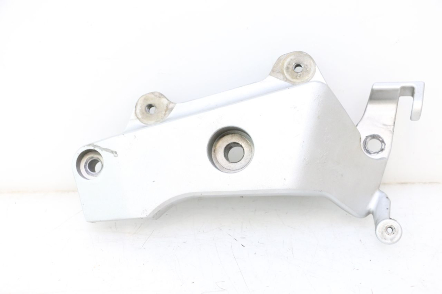 photo de RIGHT SIDE FRAME COVER HONDA CB F HORNET 600 (2005 - 2006) - Main view