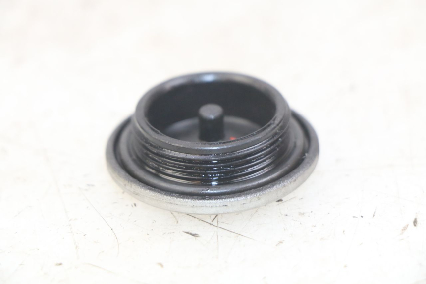 photo de RIGHT SIDE LATERAL FRAME COVER YAMAHA SR 125 (1982 - 2003) - Component detail