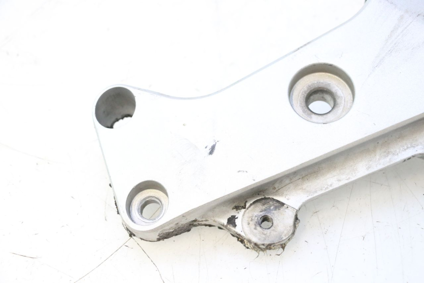 photo de LEFT SIDE FRAME COVER HONDA CB F HORNET 600 (2005 - 2006) - Product overview