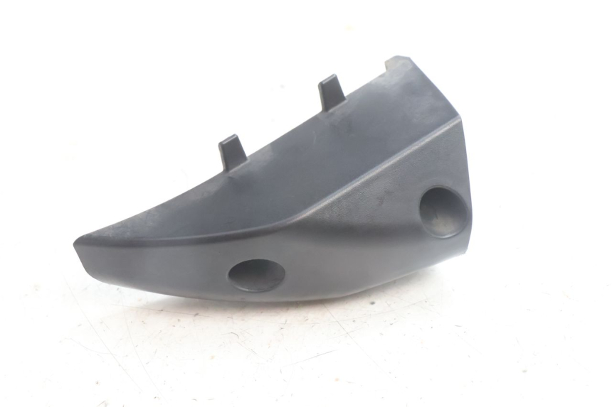 photo de LEFT SIDE FRAME COVER ASKOLL ESPRO 1 - Component detail