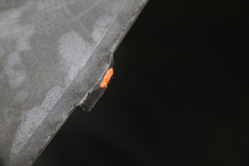 photo de UNDERSEAT PANEL KYMCO AGILITY CARRY 50 (2011 - 2020) - Fixing points details