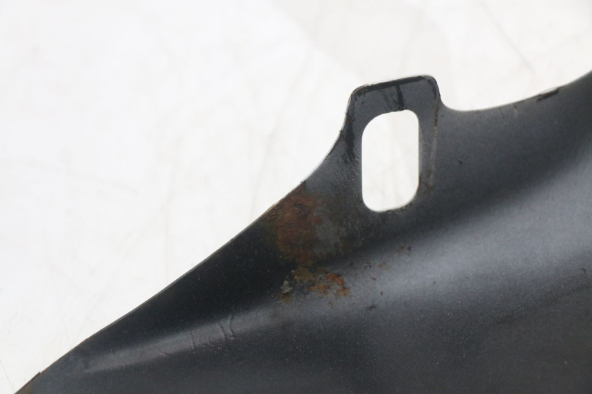 photo de RIGHT UNDERSEAT PANEL HARLEY DAVIDSON SPORTSTER XL CUSTOM 883 (1999 - 2006) - Surface and material condition