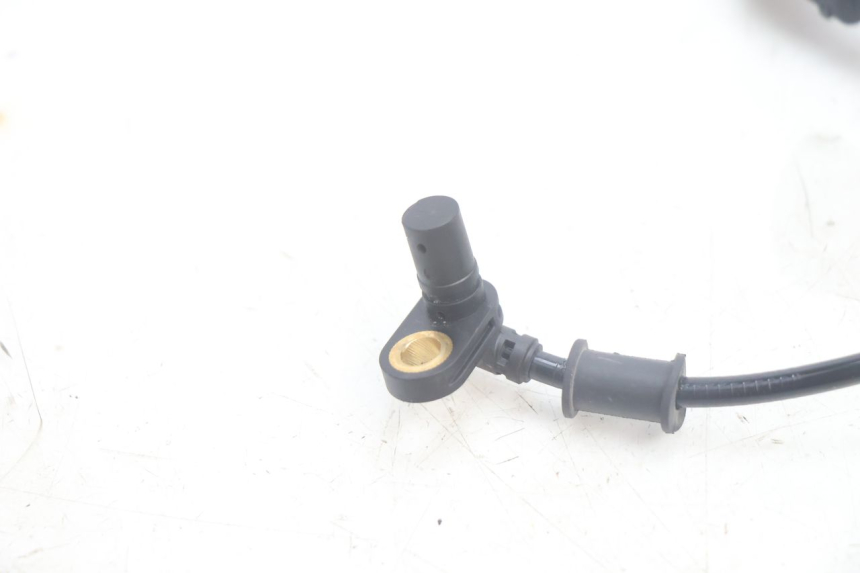 photo de SPEED SENSOR JM MOTORS R-MAX TECH 50 (2024 - 2026) - Product overview