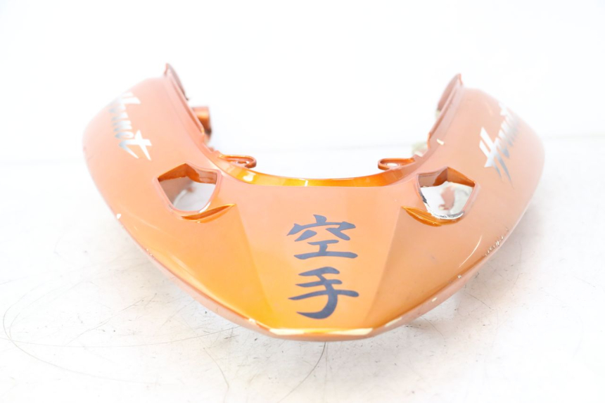 photo de REAR PANEL HONDA CB F HORNET 600 (2005 - 2006) - Detailed visual inspection