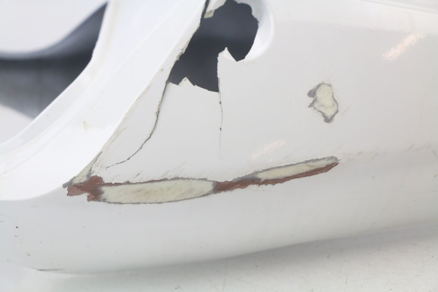 photo de REAR PANEL HONDA CBR 929 RR FIREBLADE 900 (2000 - 2001) - Distinctive features