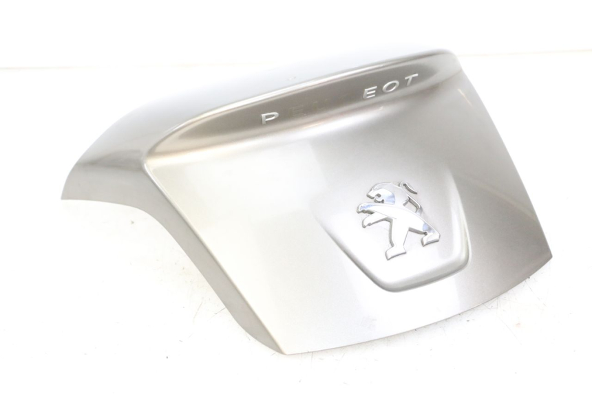 photo de REAR PANEL PEUGEOT SATELIS 125 (2013 - 2018) - Main view