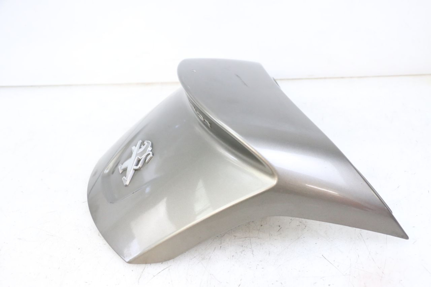 photo de REAR PANEL PEUGEOT SATELIS 125 (2013 - 2018) - Product overview