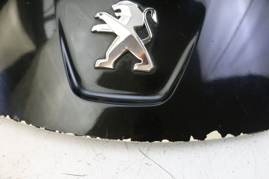 photo de REAR PANEL PEUGEOT SATELIS 125 (2013 - 2018) - Component detail