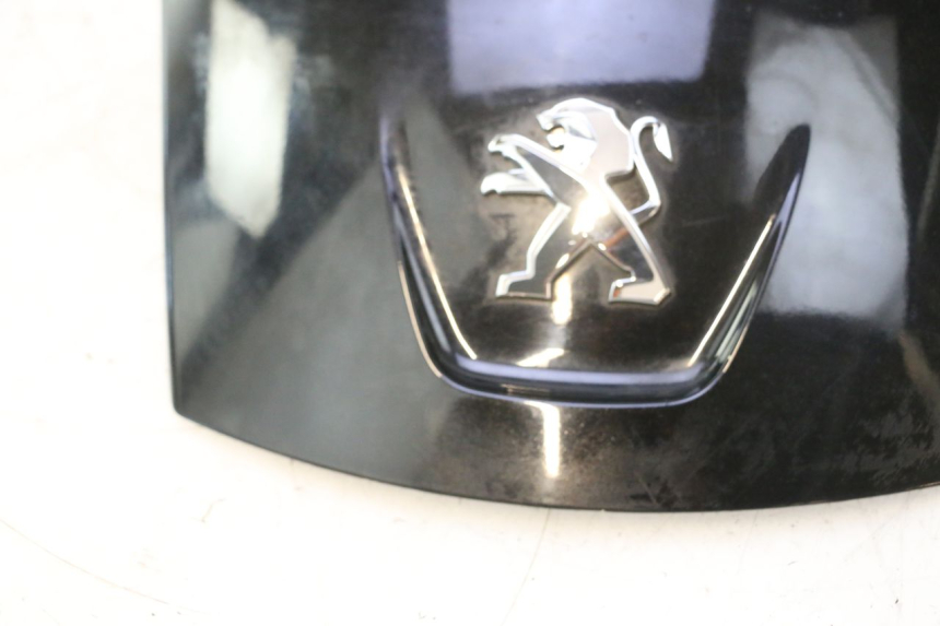 photo de REAR PANEL PEUGEOT SATELIS 125 (2013 - 2018) - Surface and material condition