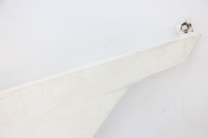 photo de REAR PANEL DERBI SENDA SM DRD 50 (2008 - 2013) - Component zoom