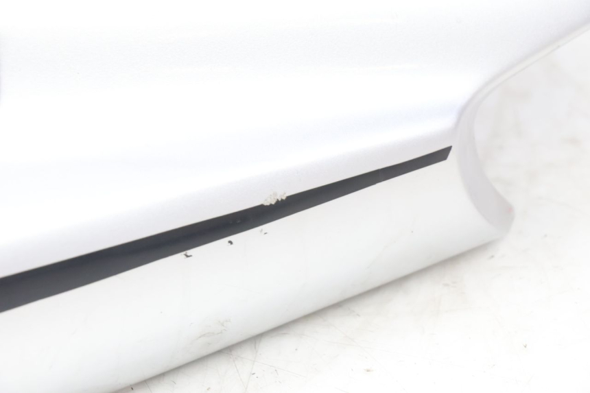 photo de REAR PANEL YAMAHA XJR 1300 (1998 - 2002) - Technical close-up
