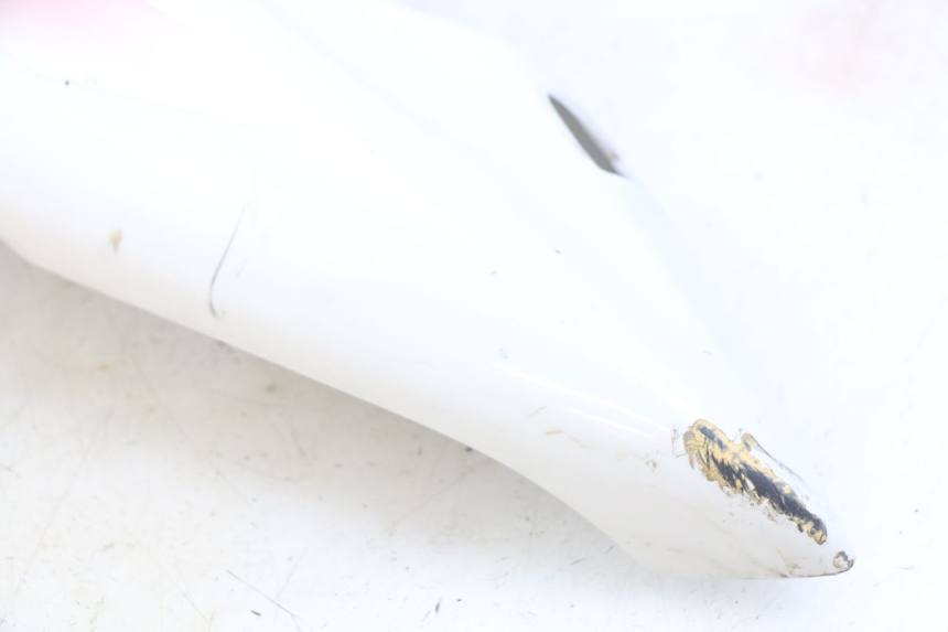 photo de REAR FAIRING YAMAHA YZF R THUNDERCAT 600 (1996 - 2003) - Markings and original references