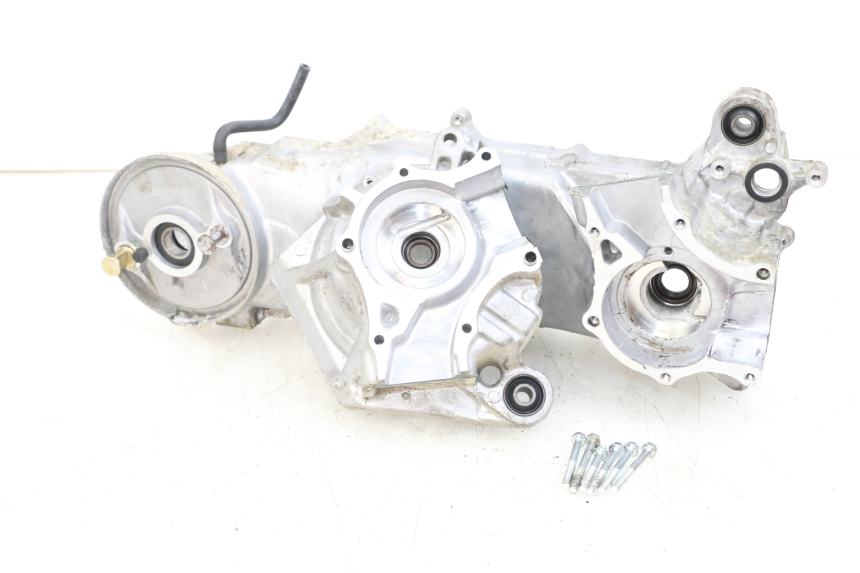 photo de ENGINE CRANKCASE DAELIM A-FOUR 2T 50 (2005 - 2012) - Component detail